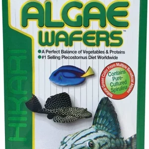 Hikari Algae Wafers
