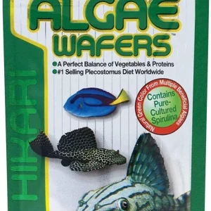 Hikari Algae Wafers