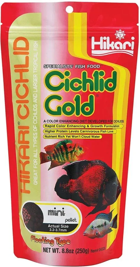Hikari Cichlid Gold Color Enhancing Fish Food - Mini Pellet