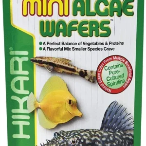 Hikari Mini Algae Wafers