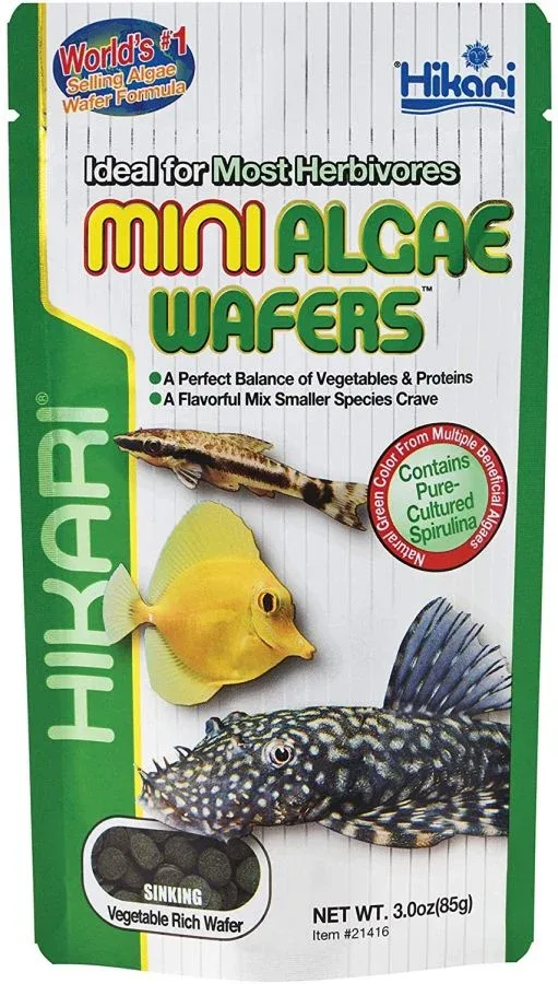 Hikari Mini Algae Wafers