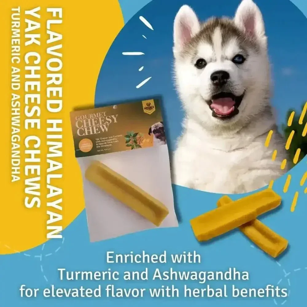 Himalayan Yak Cheesy Chews with Turmeric and Ashwagandha - All Natural, Gluten Free Dog Treats