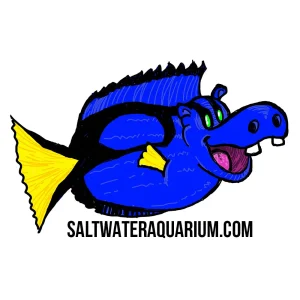 HippoTang SaltwaterAquarium.com Sticker (FREE OVER $50) - SAQ.com