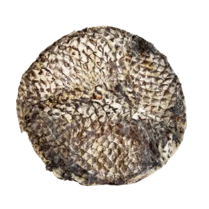 Home Range Furs Tilapia Dog Chew Treats 7 Inch - 15 Pack Per Case