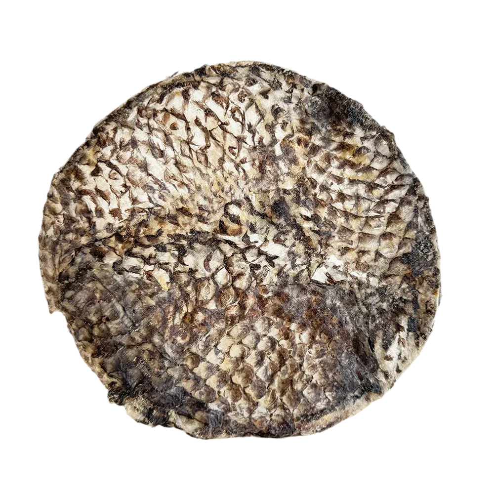 Home Range Furs Tilapia Dog Chew Treats 7 Inch - 15 Pack Per Case