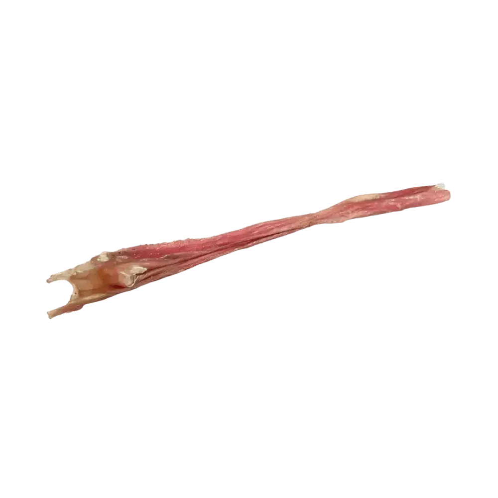 Home Range Fursbee Bladder Stick All Natural Dog Treat 12" 50cs
