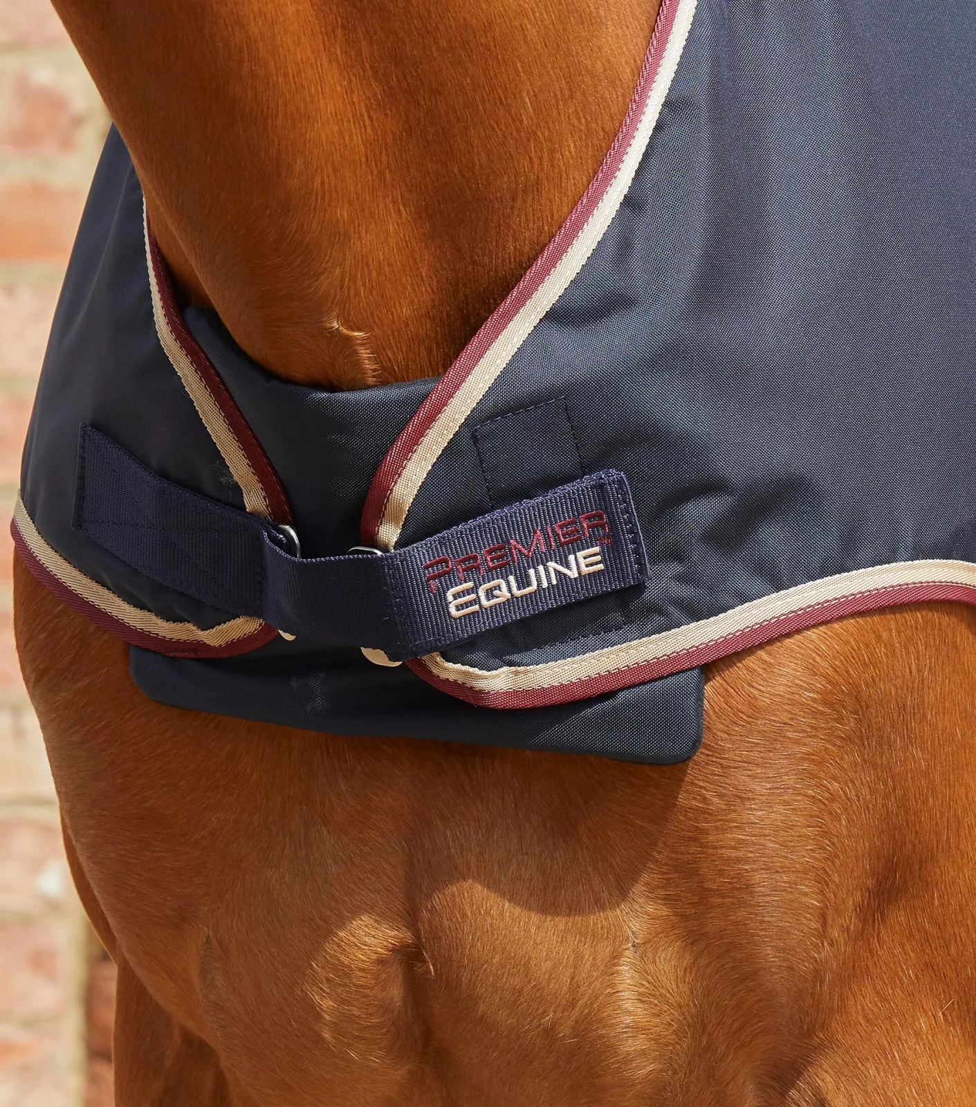 Horse Walker Rug 0g Navy - Image 2