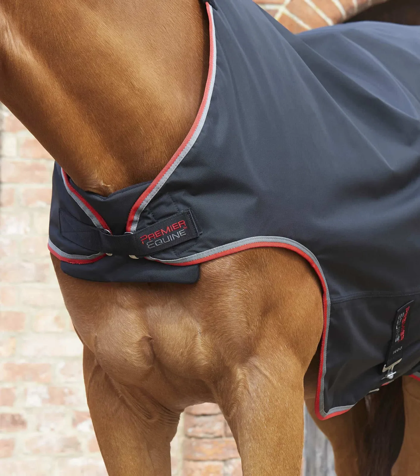 Horse Walker Rug 100g Black - Image 2