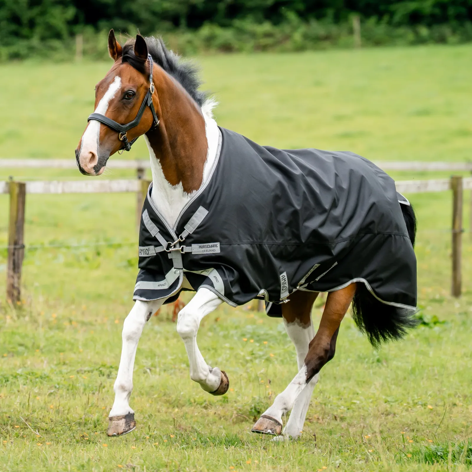 Horseware® Ireland Amigo® 1200D Plus Turnout 250 Gram - Image 2