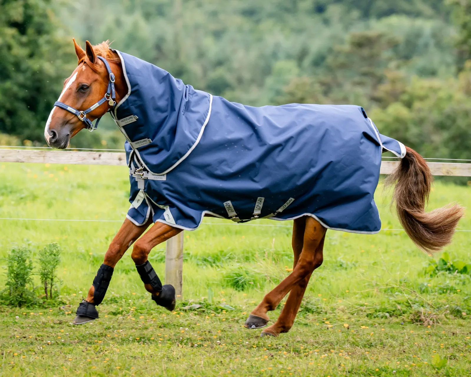 Horseware® Ireland Amigo® 1200D Plus Turnout 250 Gram