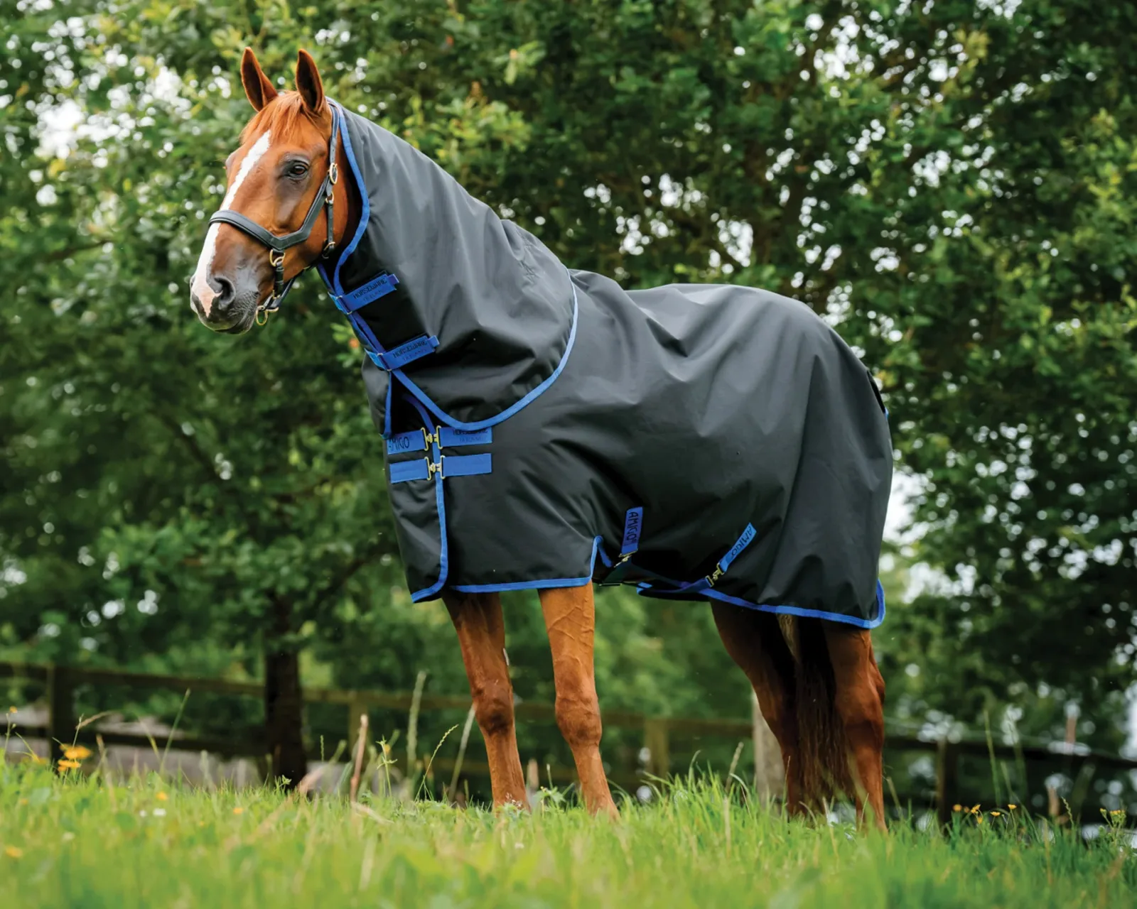 Horseware® Ireland Amigo® 900D Ripstop Plus Turnout-100-Grams - Image 2