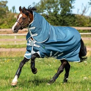 Horseware® Ireland Amigo® AmEco 12 Plus Lightweight Turnout Blanket