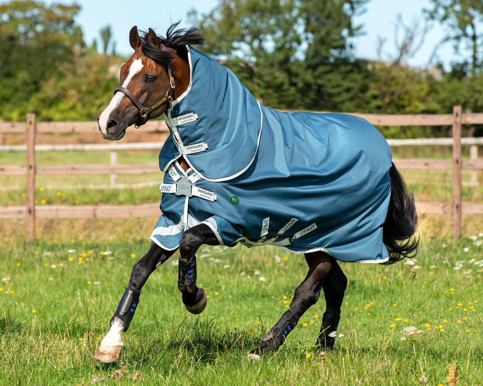 Horseware® Ireland Amigo® AmEco 12 Plus Lightweight Turnout Blanket