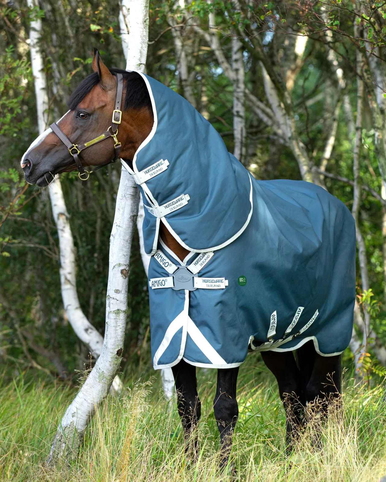 Horseware® Ireland Amigo® AmEco 12 Plus Lightweight Turnout Blanket - Image 2