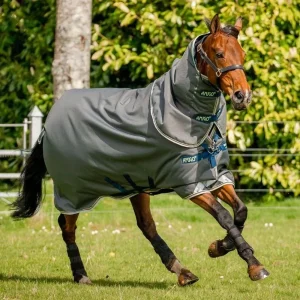 Horseware Ireland Amigo Bravo 12 Plus Turnout 250g