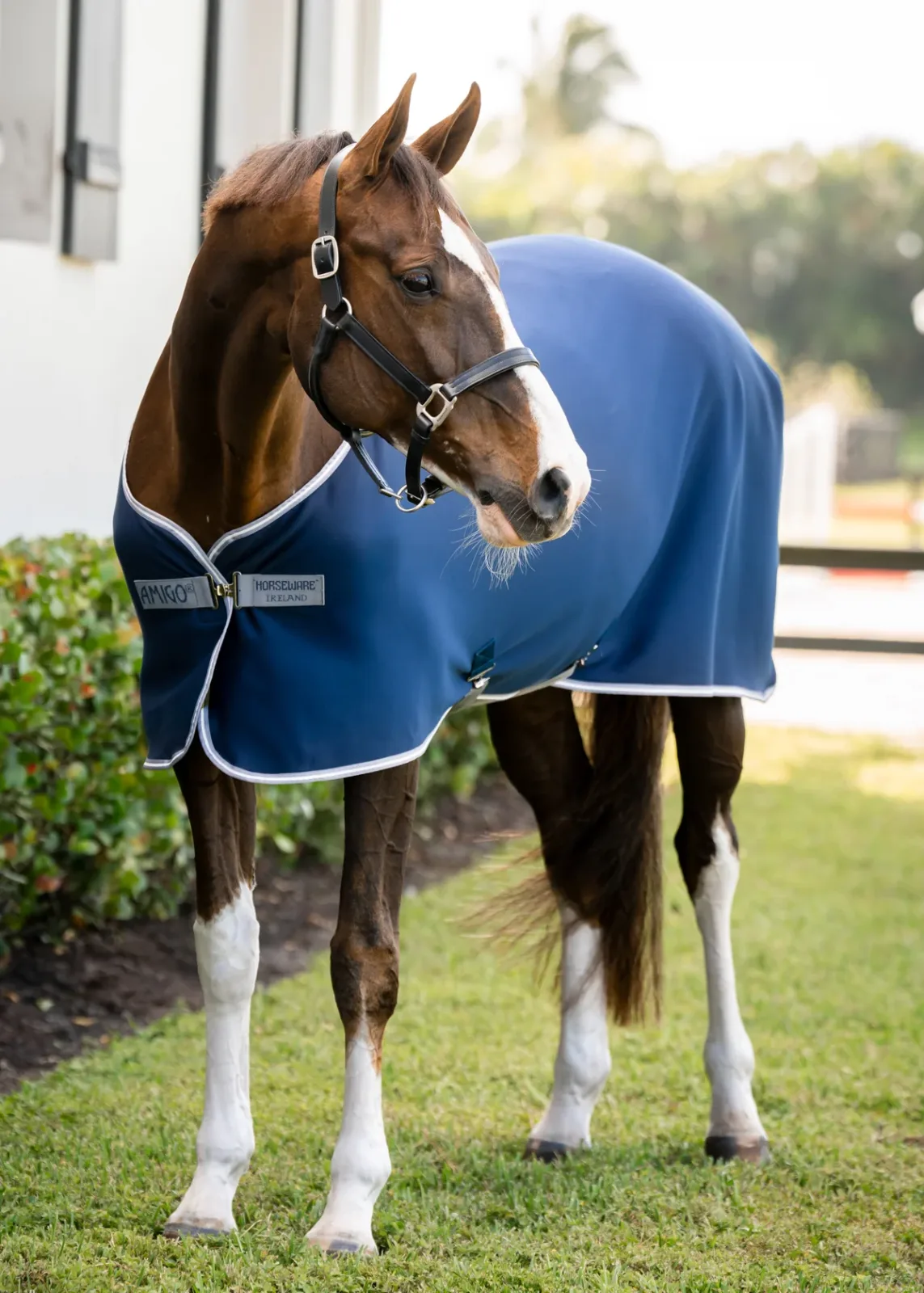 Horseware® Ireland Amigo® Jersey Cooler - Pony
