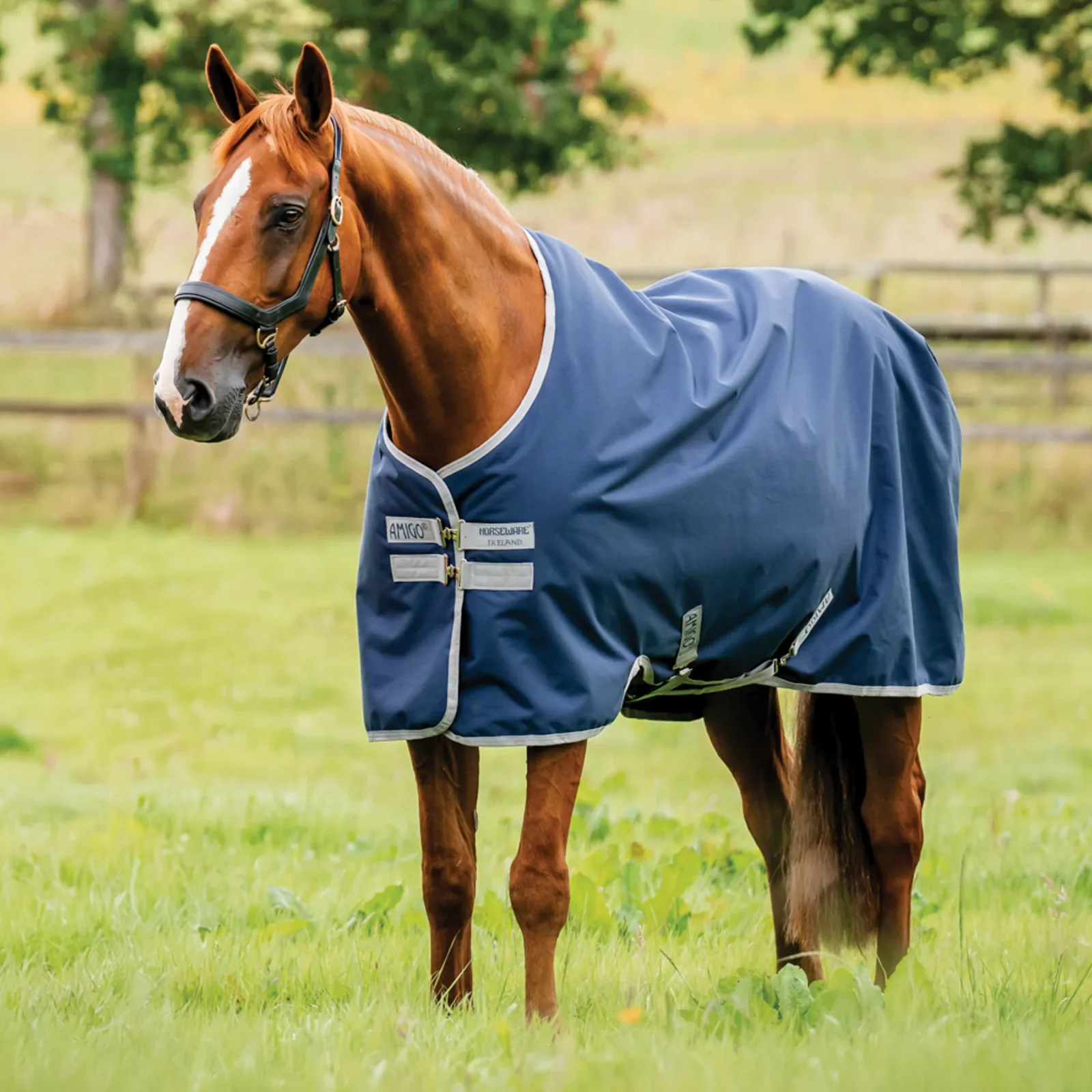 Horseware® Ireland Amigo® Ripstop 900D 100 Gram Standard Neck Turnout