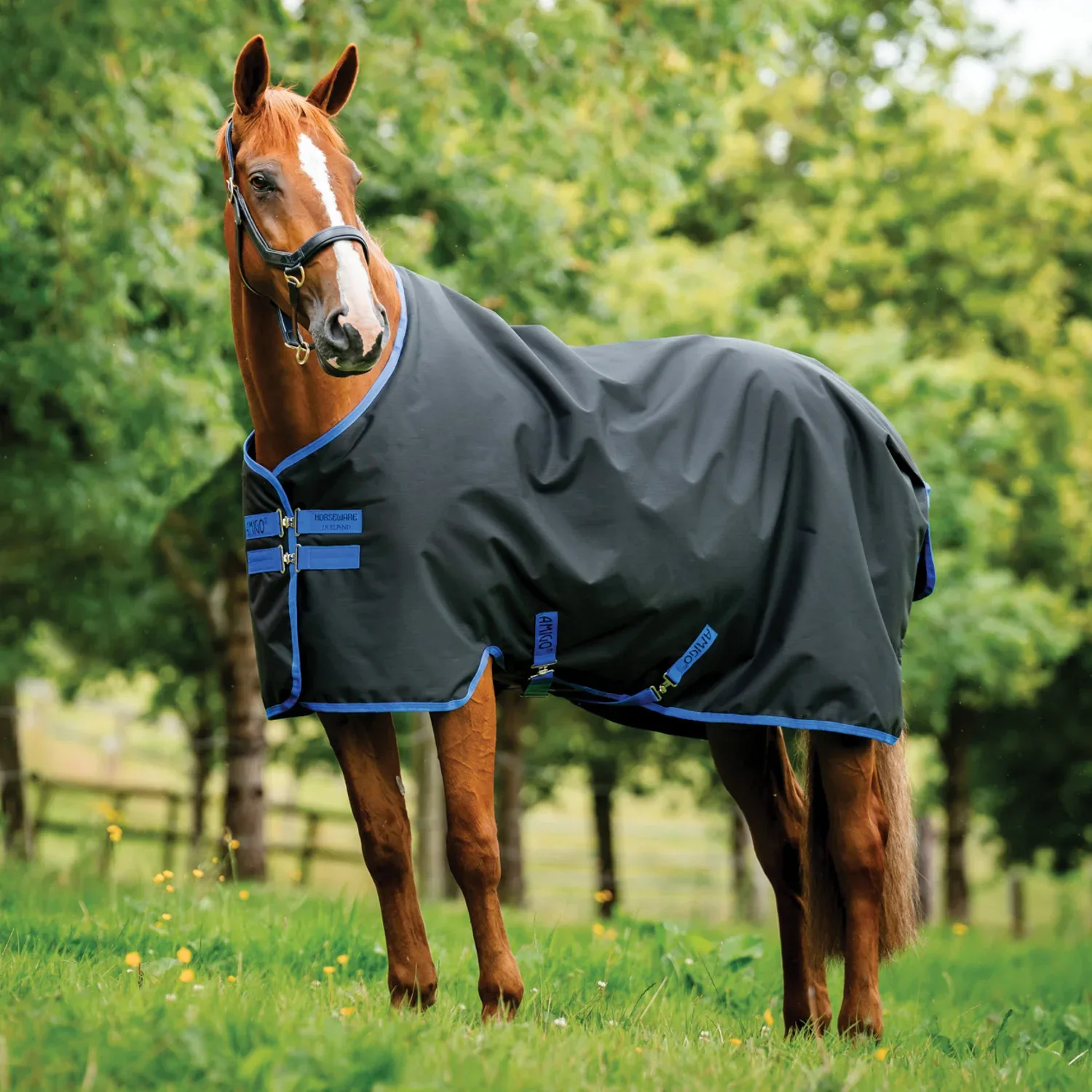 Horseware® Ireland Amigo® Ripstop 900D 100 Gram Standard Neck Turnout - Image 2