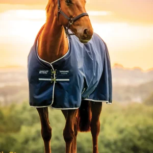 Horseware® Ireland Amigo® Ripstop 900D 200 Gram Standard Neck Pony Turnout–Seasonal Color