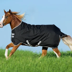 Horseware® Ireland Amigo® Stock Horse Medium-Weight Turnout (200 Grams)