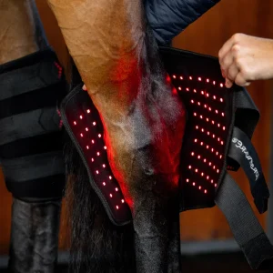 Horseware Ireland LED Red Light Therapy Right Hock Boot