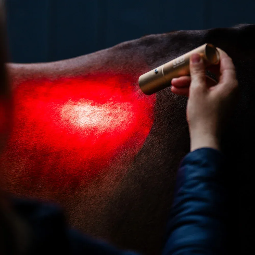 Horseware Ireland LED Red Light Therapy Wand - Image 2