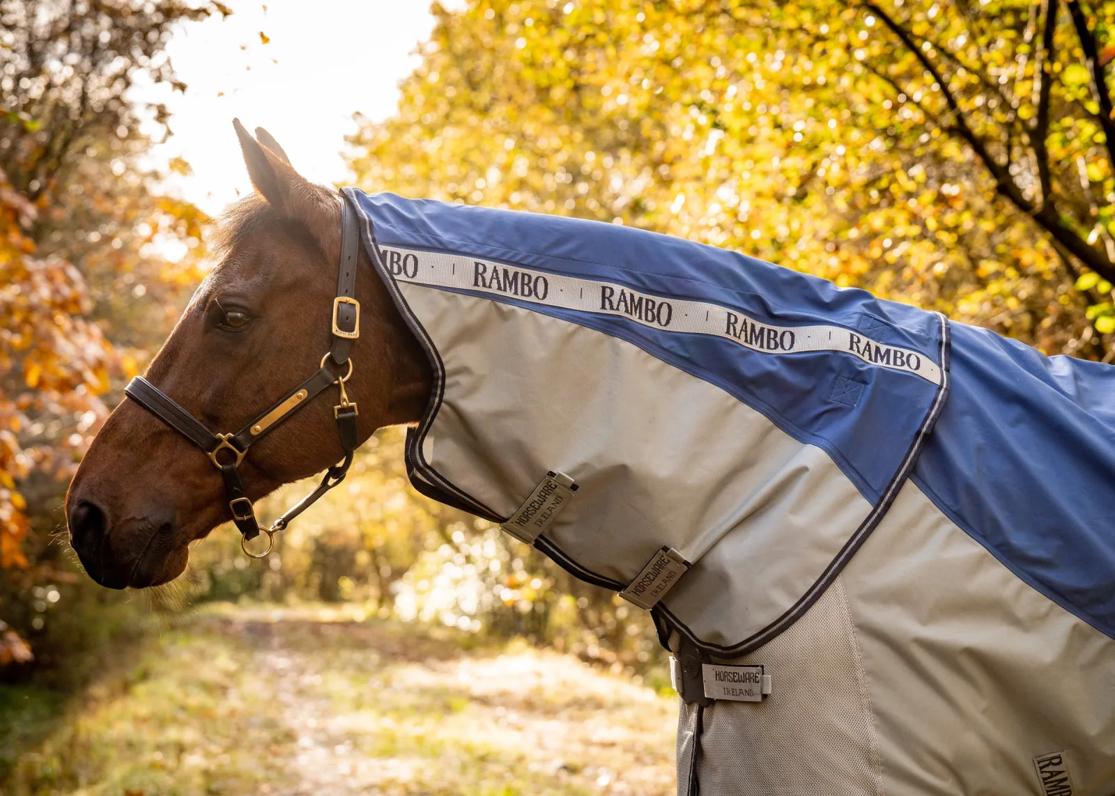 Horseware® Ireland Rambo® Autumn Series Technical Turnout - Image 2