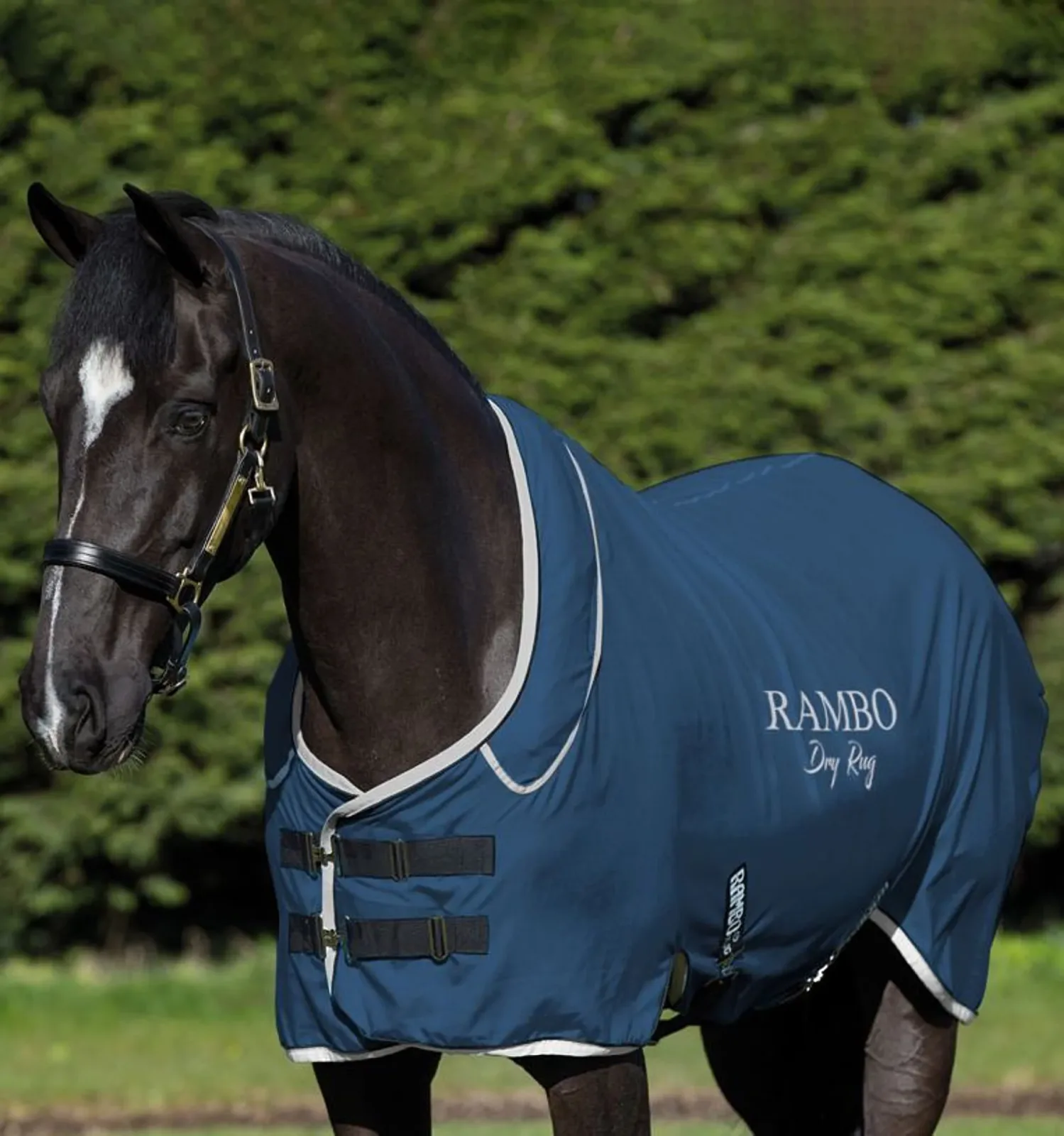Horseware Ireland Rambo Dry Rug Supreme - Image 2