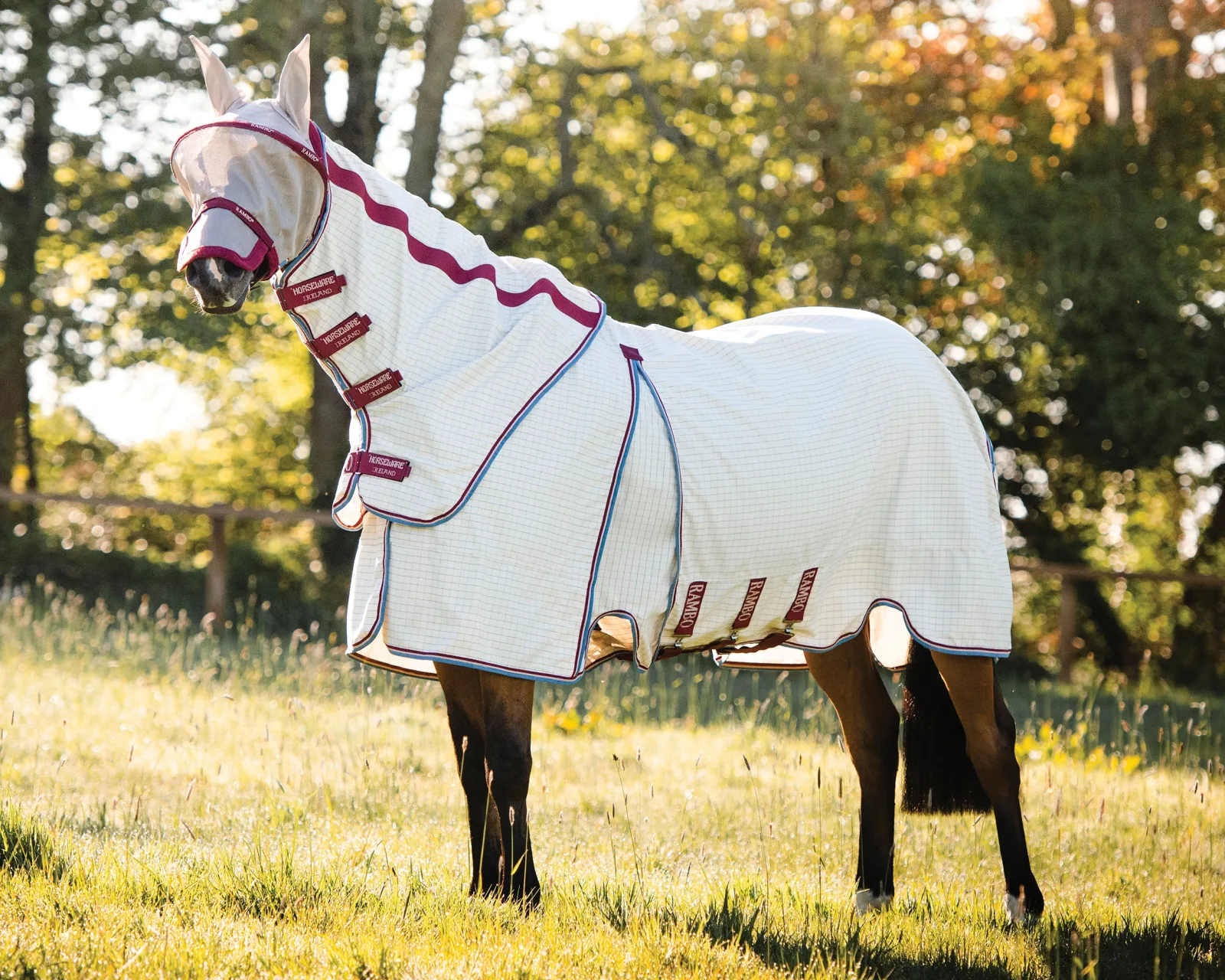 Horseware® Ireland Rambo® Optimo Supreme Summer Sheet