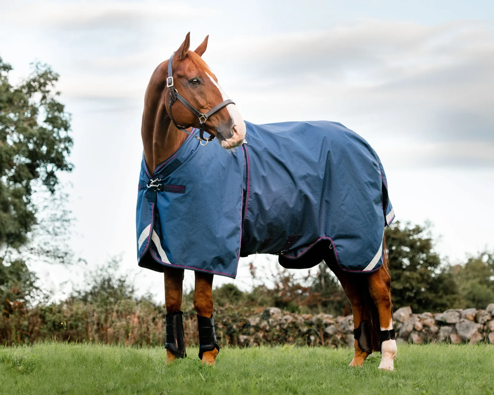 Horseware® Ireland Rambo® Optimo Turnout Outer