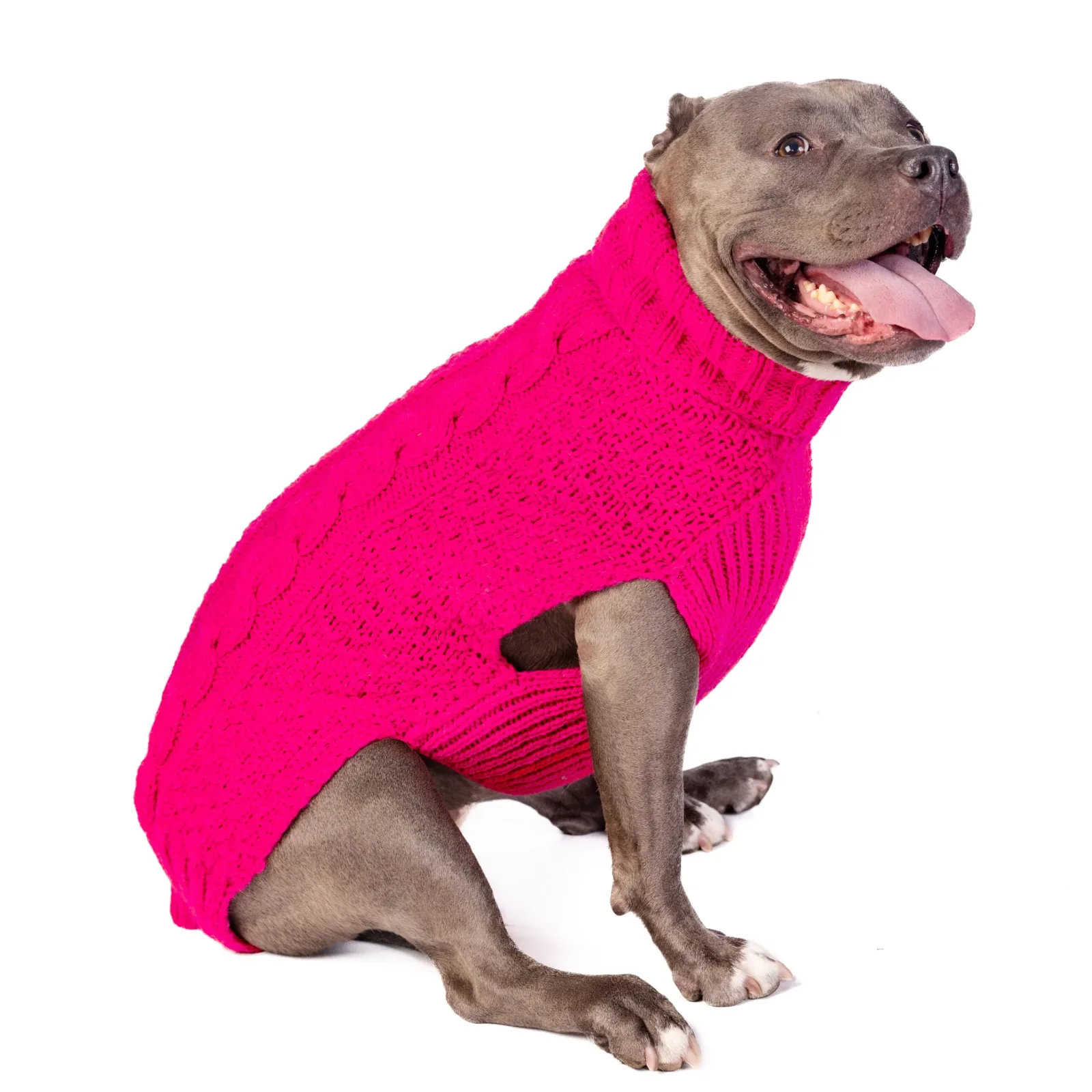 Hot Pink Alpaca Cable Knit Dog Sweater - Image 2