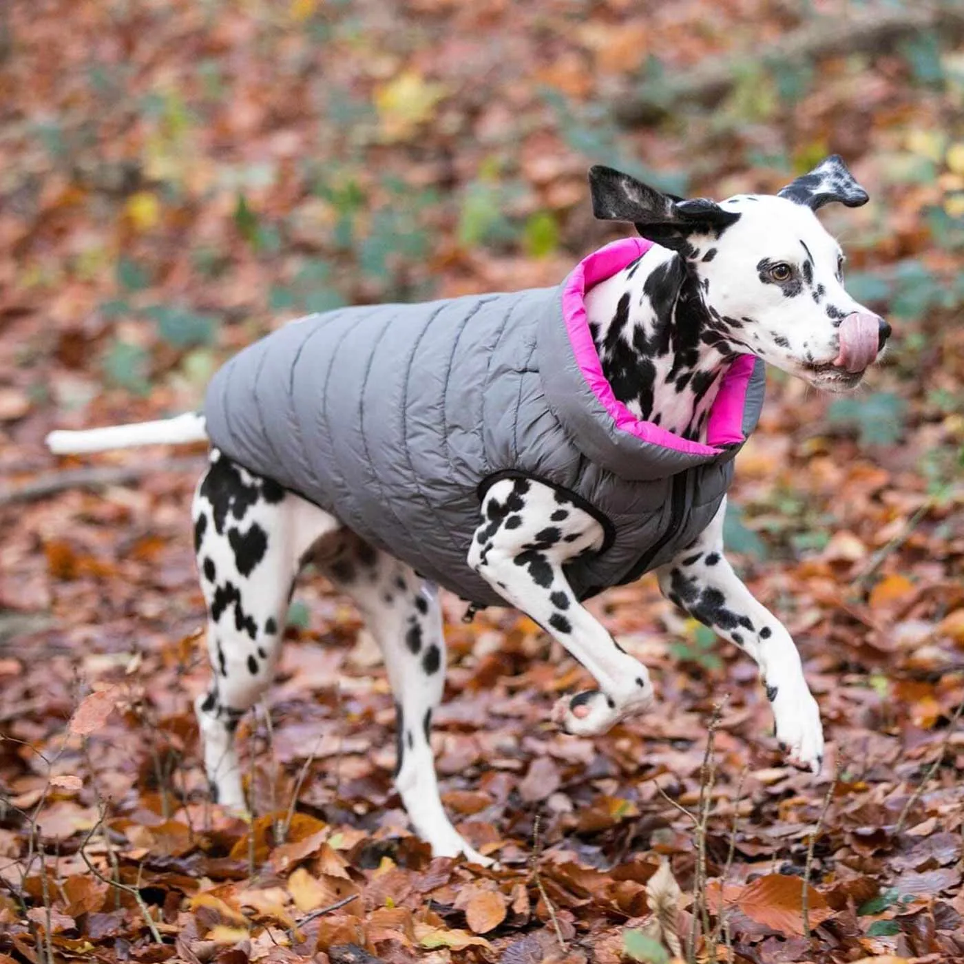 Hugo & Hudson Reversible Pink & Grey Puffer Jacket - Image 2