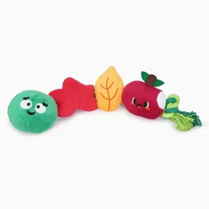 Hugsmart Pet Apple and Worm Dog Rope Toy for Play