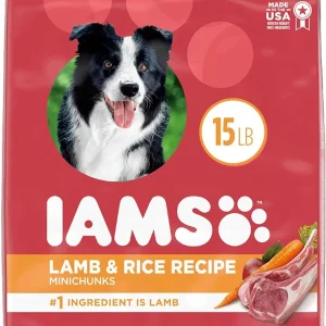 Iams ProActive Health Lamb & Rice Mini Chunks Adult Dry Dog Food - 15 lb Bag