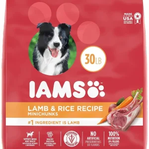 Iams ProActive Health Lamb & Rice Mini Chunks Adult Dry Dog Food - 30 lb Bag