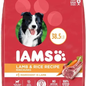 Iams ProActive Health Lamb & Rice Mini Chunks Adult Dry Dog Food - 38.5 lb Bag