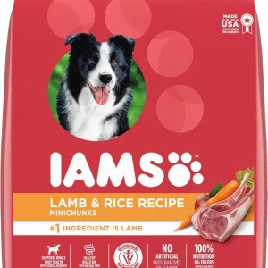 Iams ProActive Health Lamb & Rice Mini Chunks Adult Dry Dog Food - 7 lb Bag