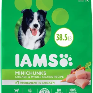 Iams ProActive Health Mini Chunks Chicken and Whole Grain Adult Dry Dog Food - 38.5 lb Bag