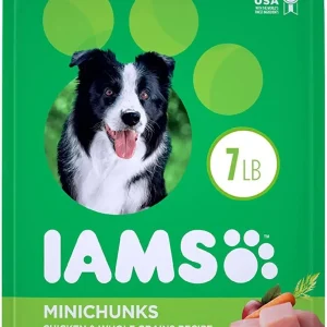 Iams ProActive Health Mini Chunks Chicken and Whole Grain Adult Dry Dog Food - 7 lb Bag