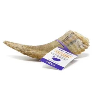 Icelandic+ Small Lamb Horn with Marrow Natural Dog Chews - 36 Count