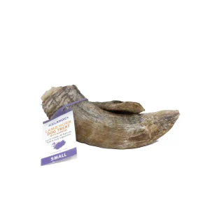 Icelandic+ Small Lamb Horn with Marrow Refill Natural Dog Chews - 72 Count