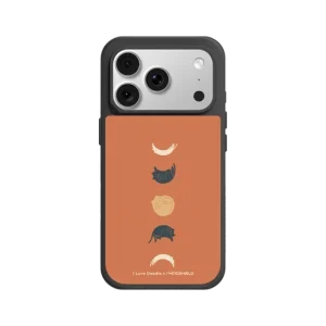 ilovedoodle Cat Landscape - Cat Phases Orange SolidX