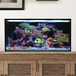 IM NUVO Fusion 25 Lagoon - Starter Kit, PLUS