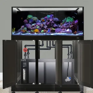 INT 170 Gallon Complete Reef System – Black (Made To Order) - Innovative Marine