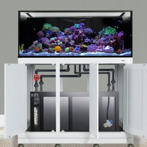 INT 170 Gallon Complete Reef System – White (Made To Order) - Innovative Marine