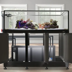 INT 200 Gallon Peninsula Complete Reef System – Black (Made to Order) - Innovative Marine