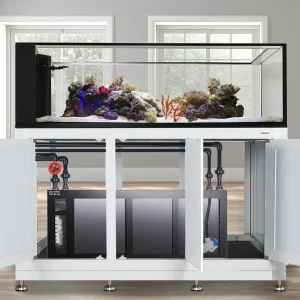 INT 200 Gallon Peninsula Complete Reef System – White (Made to Order) - Innovative Marine