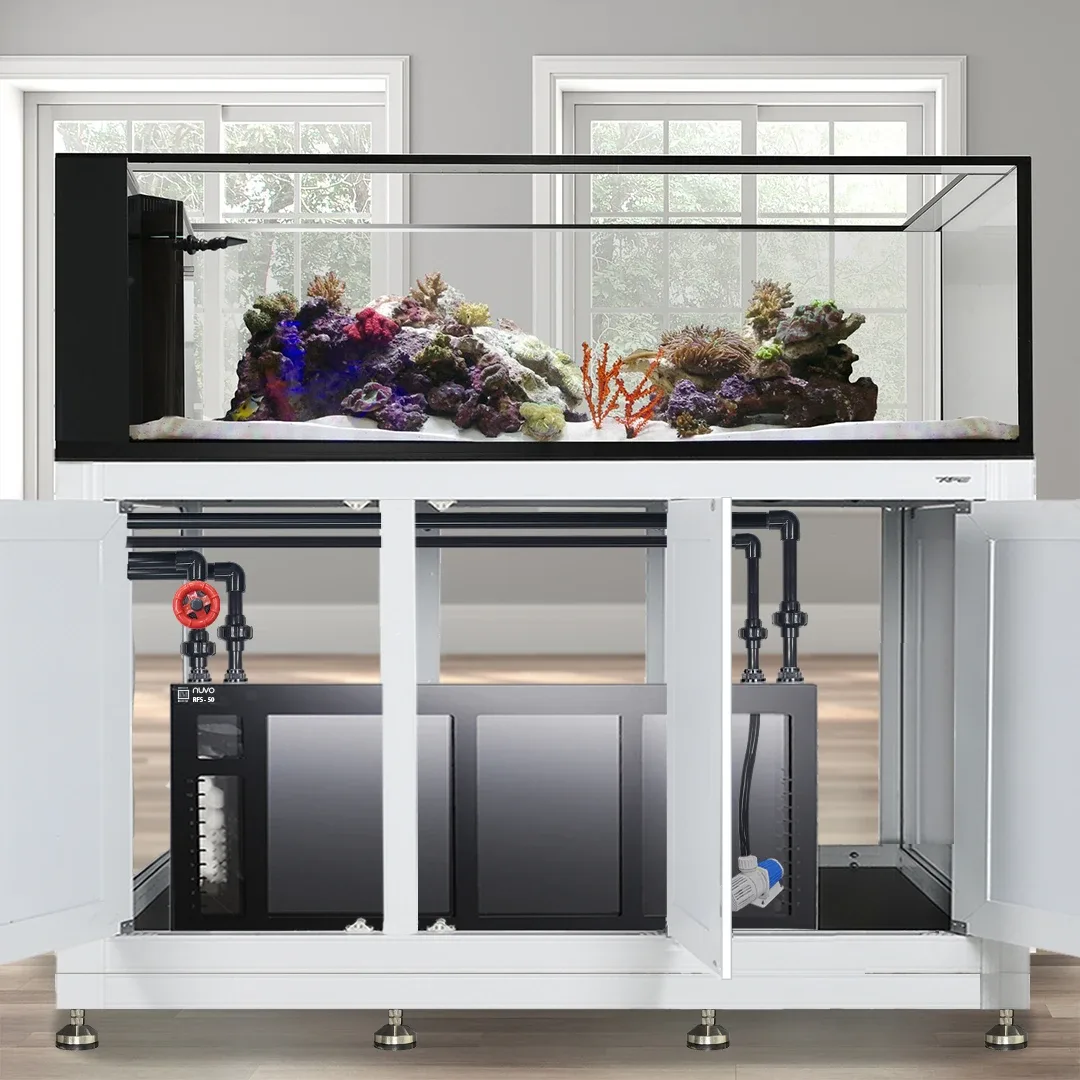 INT 200 Gallon Peninsula Complete Reef System – White (Made to Order) - Innovative Marine