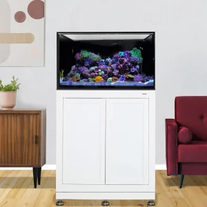 INT 75 Lagoon Aquarium w/ APS Stand – White - Innovative Marine