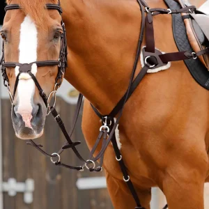 Invorio 5 Point Breastplate Brown